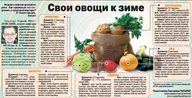 9 овощей для «быстрого» урожая. какие культуры можно вырастить за 30-50 дней? фото — ботаничка.ru