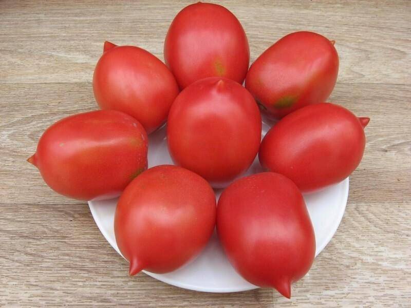 Сорт томата де-барао — описание и советы по выращиванию