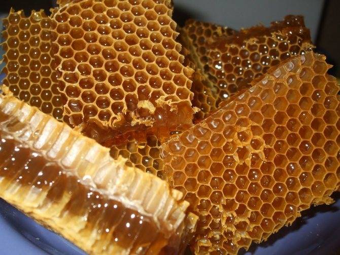 Медовые соты: польза и вред, как правильно извлечь и есть