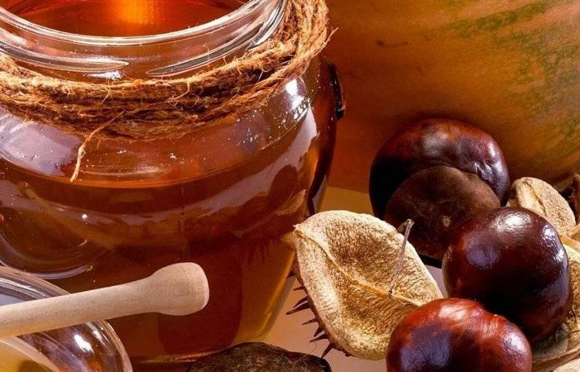 Кладезь здоровья — каштановый мед. полезные свойства и противопоказания, рецепты красоты с использованием меда