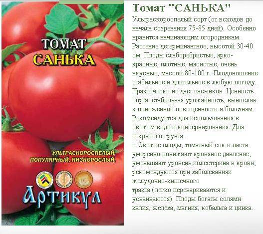 Томат санька: подробное описание, характеристика сорта помидор