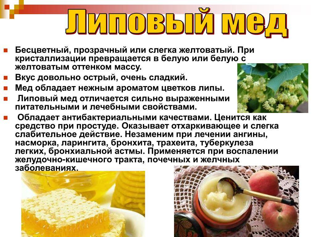 Полезные и лечебные свойства липового меда, его характеристики