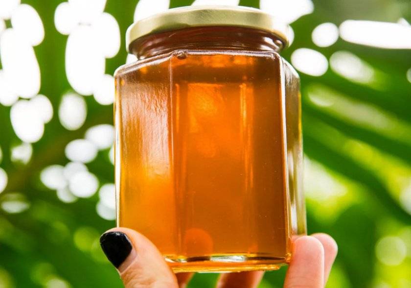 Мед с живицей: полезные свойства, противопоказания, польза и вред
