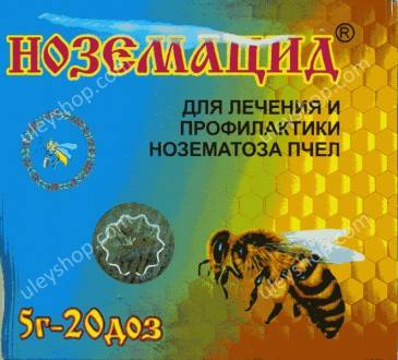 Симптомы, лечение и профилактика нозематоза пчёл