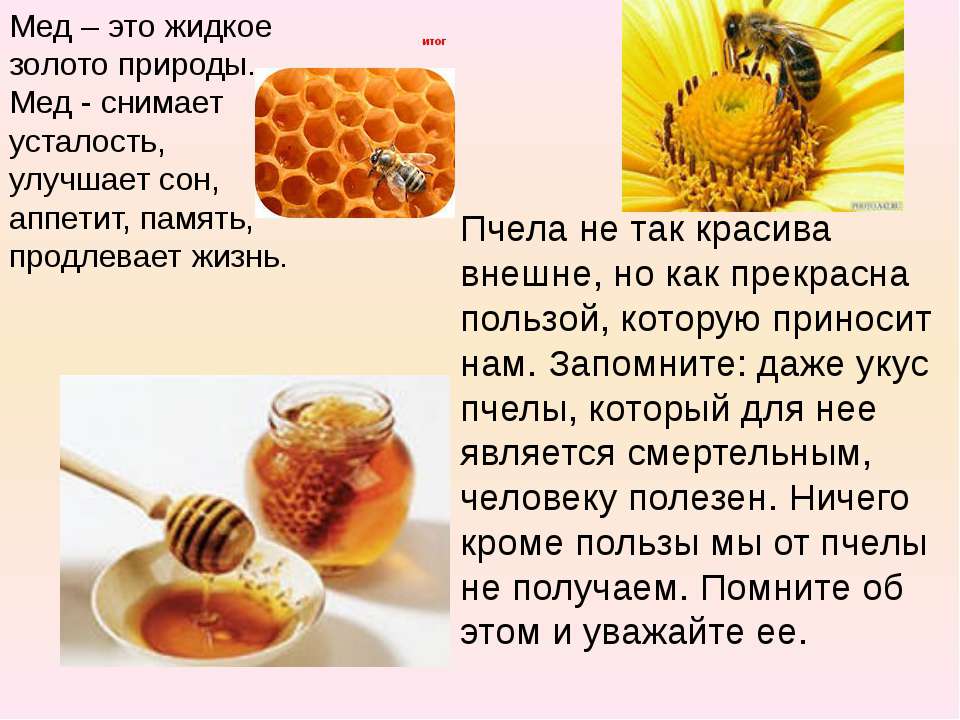 Сколько можно есть мёда в день без вреда для здоровья: нормы и особенности употребления