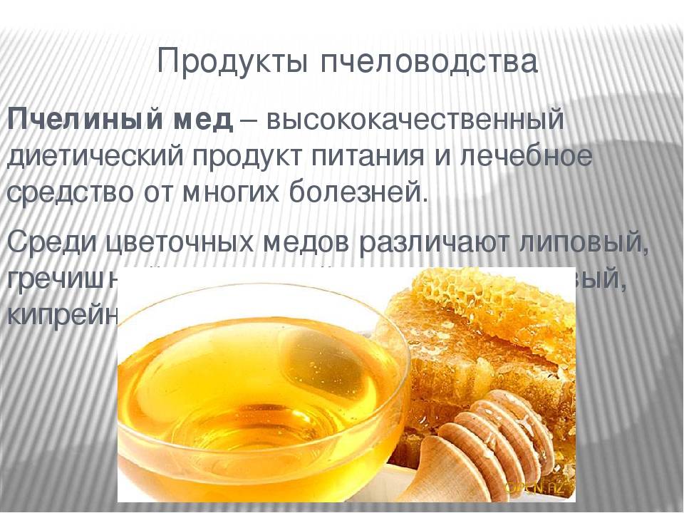 Полезные свойства пчелиного меда, его калорийность и состав, противопоказания
