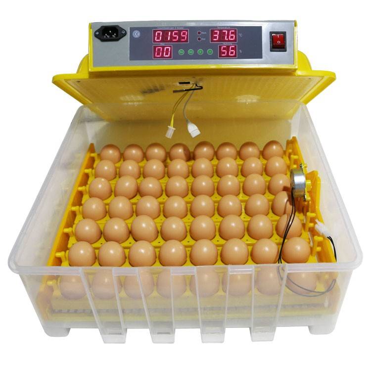 Автоматические инкубаторы для гусиных яиц — обзор моделей и создание своими руками