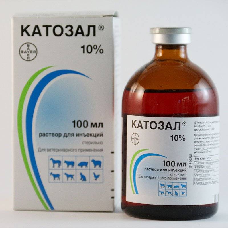 Ветеринарный препарат "катозал": инструкция по использованию :: syl.ru