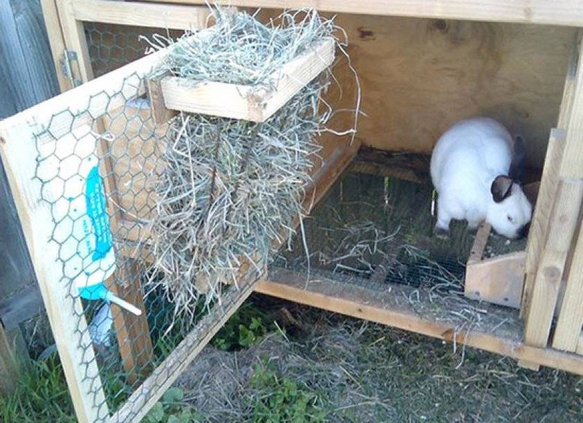 Чертежи и размеры бункерной кормушки для кроликов: описание и изготовление своими руками