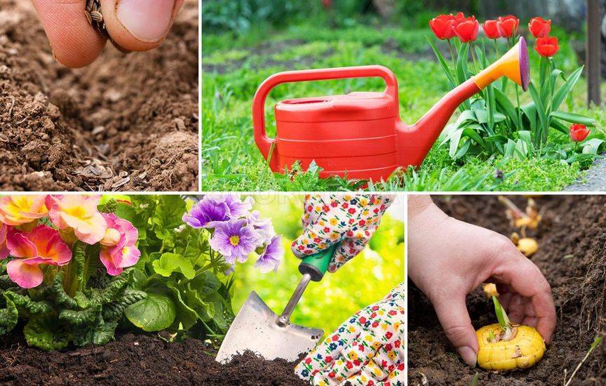 Список важных дел в саду и огороде в апреле 2019 года в подмосковье, что обязательно нужно сделать