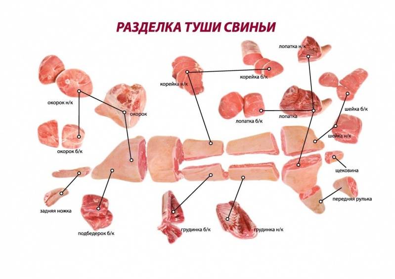 Схемы разделки полутуши свиней, основные части туши свиньи, их расположение на схеме