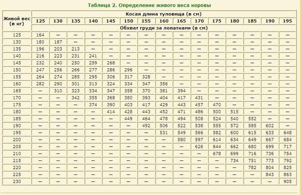 Как узнать вес быка без весов: таблица измерения и формулы расчета