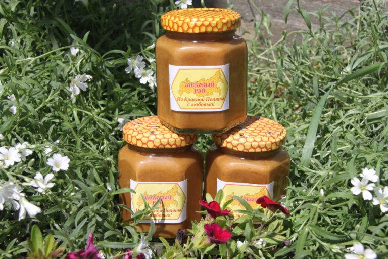 Мёд с живицей (кедровый мёд): полезные свойства, противопоказания, как принимать