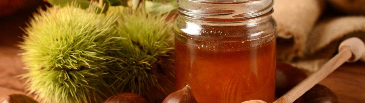 Каштановый мед ?: польза и вред, полезные свойства и противопоказания к употреблению