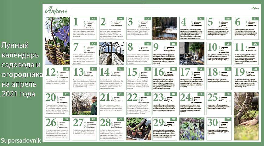 Апрель: календарь весенних работ в саду на даче