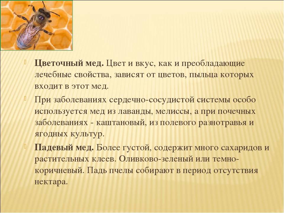 Цветочный мед полезные свойства и противопоказания