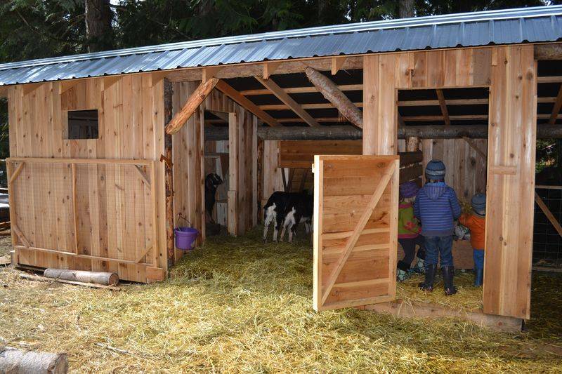 Козья мини-ферма на 10-20 голов - инструкция по строительству