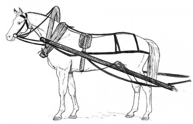 Как запрячь коня – подбор упряжи и телеги для лошади 2021