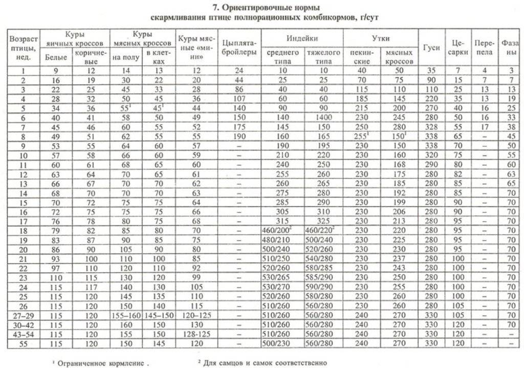 Таблица веса бройлеров по дням, инструкция по расчету прироста массы