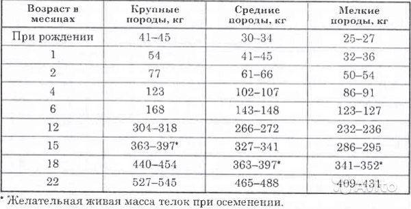 ᐉ средний вес коровы: факторы, влияющие на прирост массы тела - zooon.ru