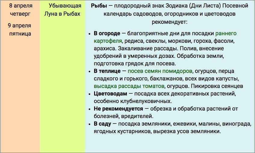 Советы цветоводам на апрель | fermers.ru