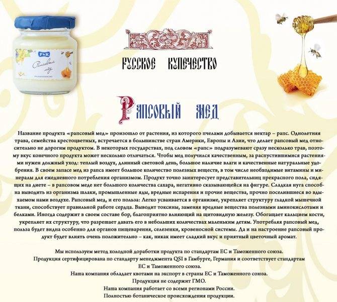 Мёд рапсовый - калорийность, полезные свойства, польза и вред, описание