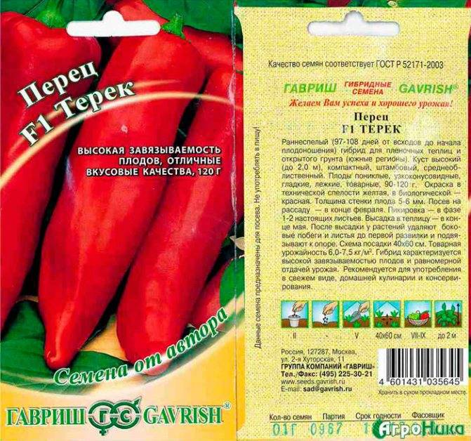 Фиолетовый перец: характеристики и описания сортов, урожайность, особенности выращивания болгарского овоща