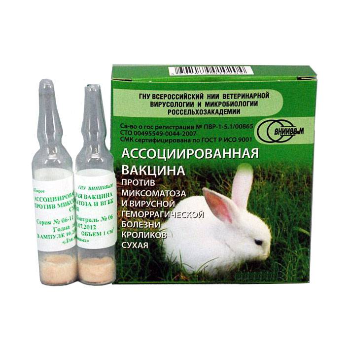 Раббивак-в: инструкция по применению, дозировка вакцины для кроликов