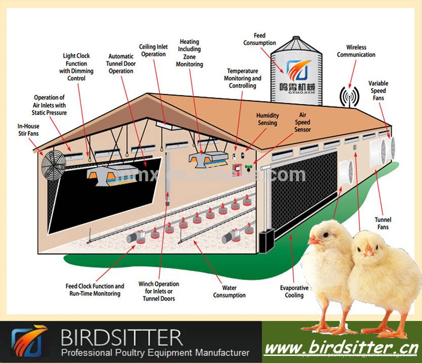 Этапы строительства птичника для кур и важные нюансы их содержания