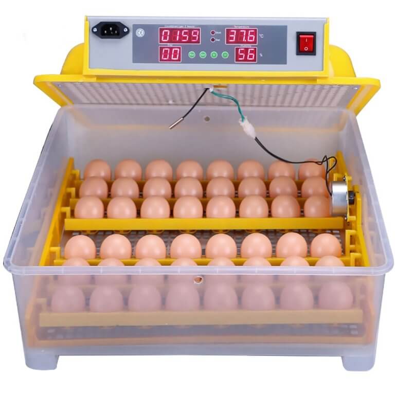 Инкубация куриных яиц: режим, таблица температуры и влажности, а также отличия в выращивании птенцов в механическом и пенопластовом устройствах selo.guru — интернет портал о сельском хозяйстве