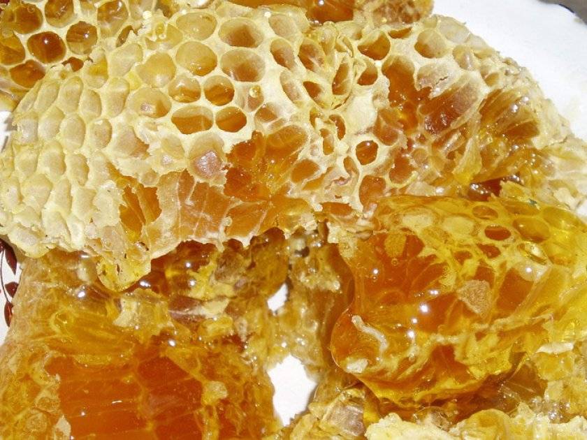 Бортевой мед: что это такое, как выглядит, полезные свойства