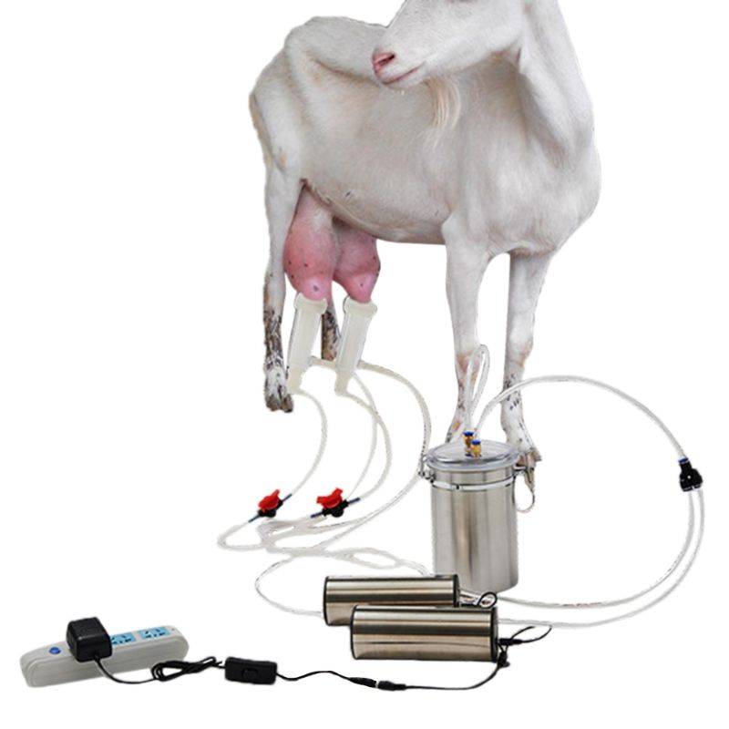 Использование и выбор доильных аппаратов для коз