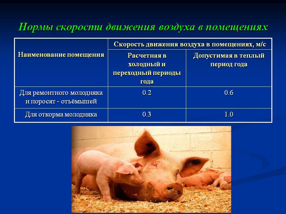 Отравления свиней