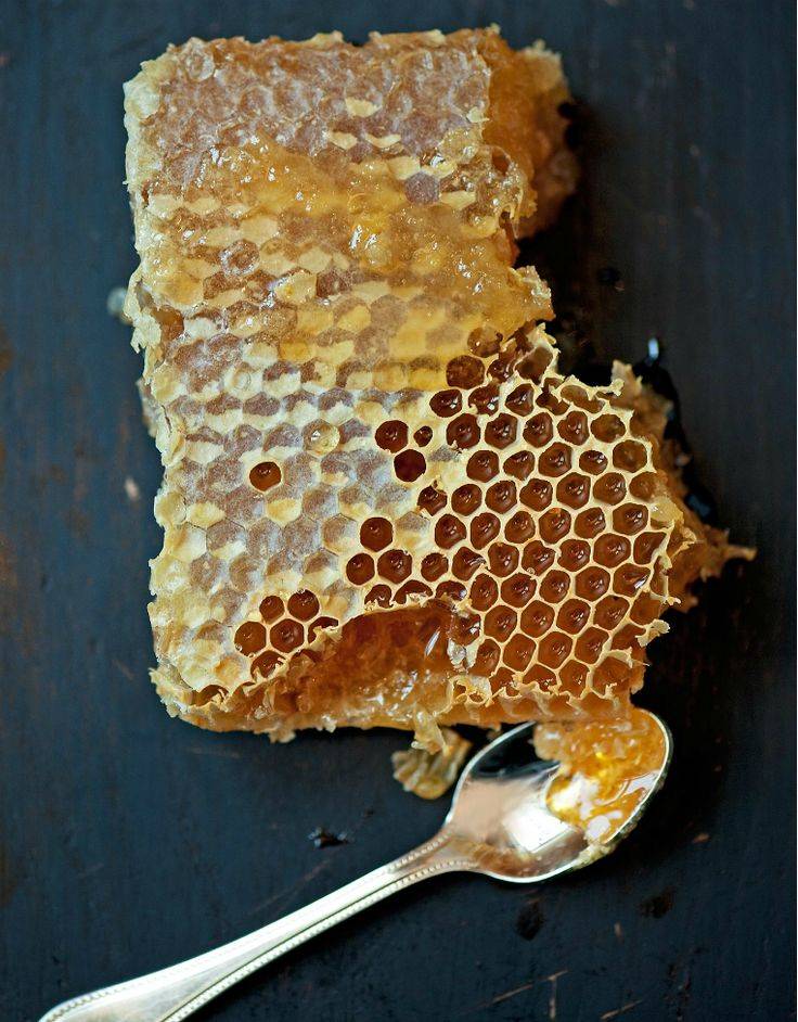Мед в сотах, польза и вред. пчелиные соты