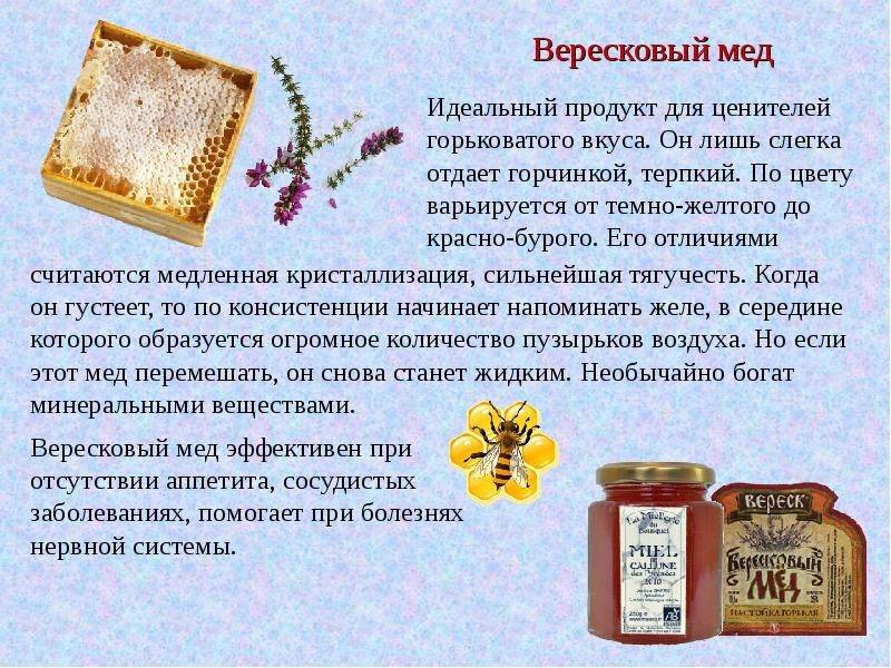 Полезные свойства и противопоказания верескового меда