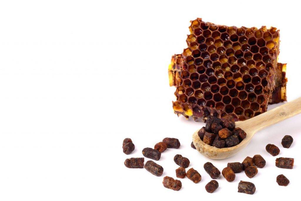 Перга пчелиная: полезные свойства, как принимать, противопоказания