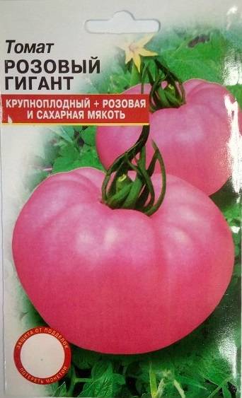 Сорт томатов розовый гигант