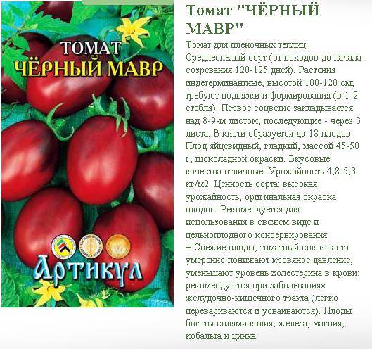 Томат "мавр черный": характеристика и описание сорта помидор, другое название томата "мавр", особенности ухода, фото и достоинства