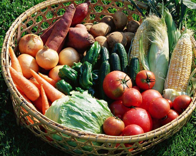 Советы дачницы, как выращивать овощи и ягоды с выгодой | сад-огород | аиф югра