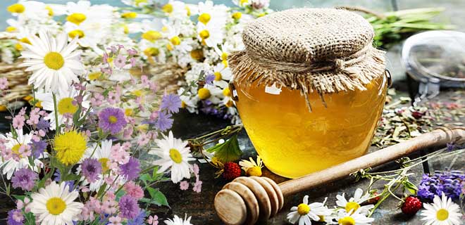 Мёд разнотравье полезные свойства и противопоказания — траварт