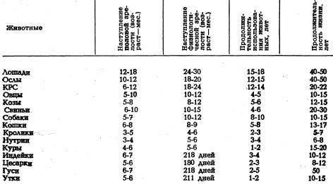 Таблица отёла коров и формула вычисления даты окончания беременности коровы