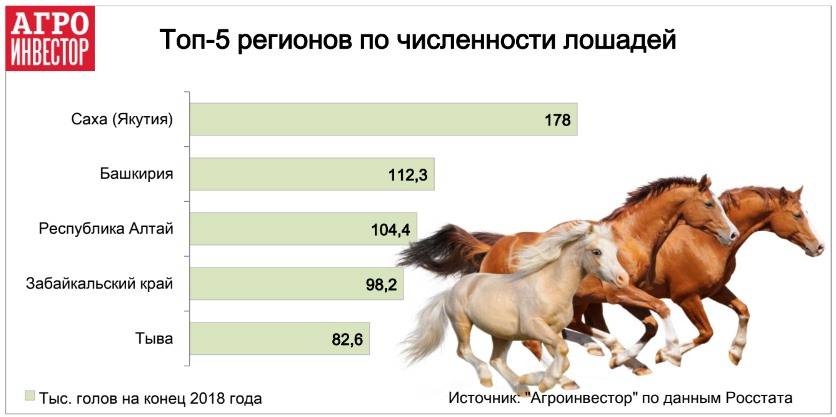 Сколько в среднем живут лошади в домашних условиях