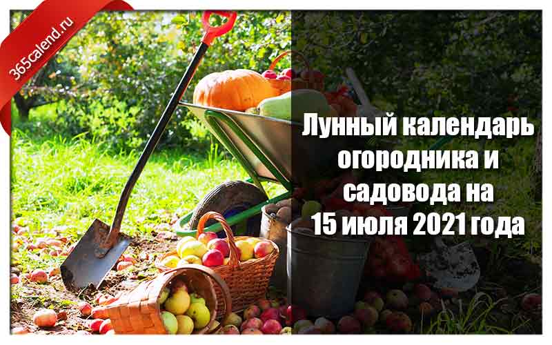 Благоприятные дни для садовода и огородника на май 2021 года: календарь, что сажать