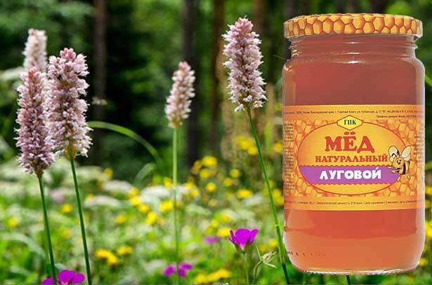 Мёд из разнотравья и его полезные свойства | огородники