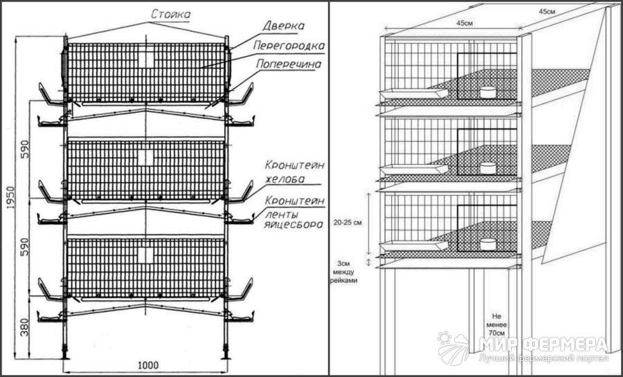 Клетки для кур: чертежи, проекты и лучшие модели. советы начинающим фермерам и лучшие модели для домашнего выращивания птицы (90 фото)