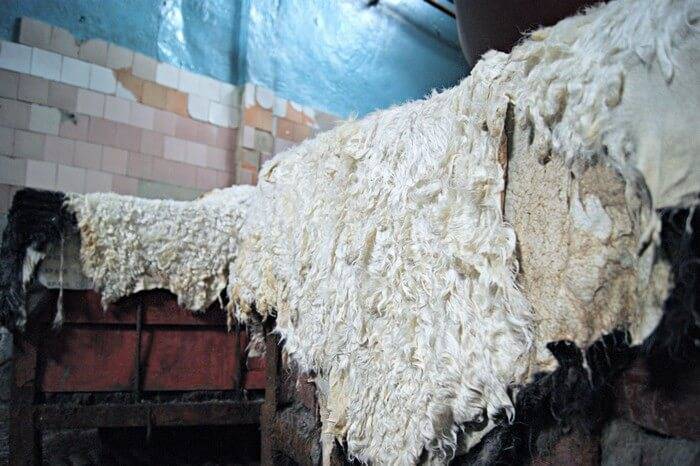Выделка и обработка овечьих шкур: полное руководство