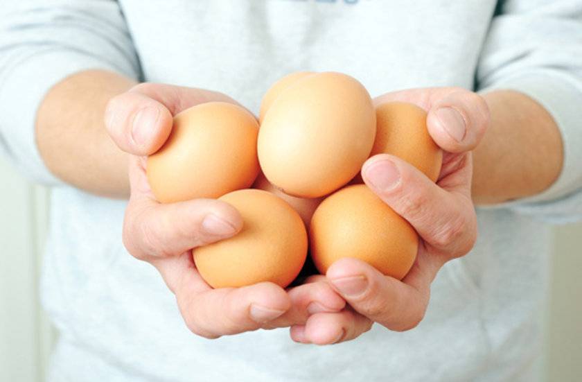Польза яиц — 7 доказанных свойств для организма, а также вред и применение