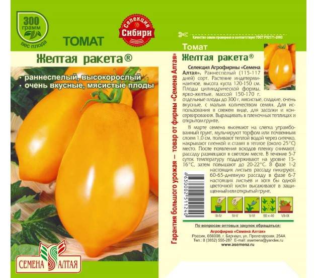 Сорт для промышленного выращивания — томат ракета: описание помидоров и их характеристики