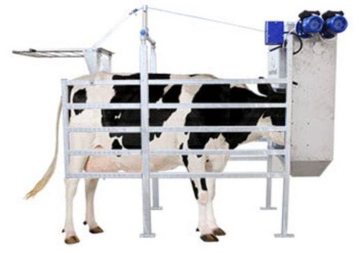 Обзор технологий роботизированного доения коров - центр повышения эффективности в животноводстве