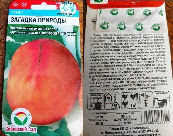 Томат "загадка природы": описание сорта, рекомендации по выращиванию отличного урожая помидор, фото-материалы русский фермер